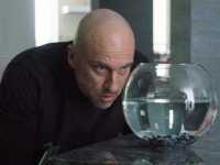 ������ �� ���������