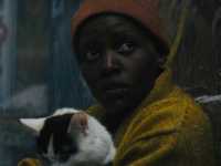 ����� �����: ���� ������