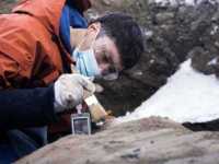 �������