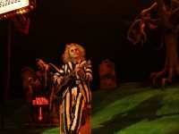 �������� ��������