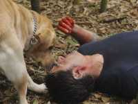 �������� � �����