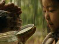 ���� � ������