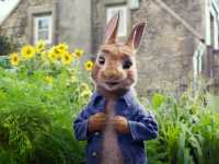 ������ �����