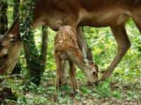 �����. ������� ����� � ����