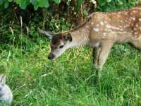 �����. ������� ����� � ����