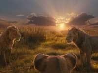 ������: ������ ���