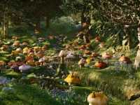 �������� 2