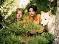 ���� ���� 2